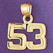 Number 53 Charm Pendant 14k Gold
