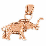 Rose Gold 14k