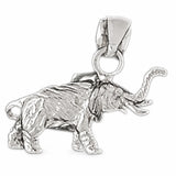 White Gold 14k