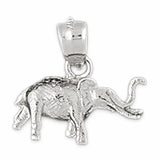 White Gold 14k