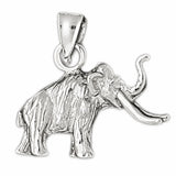 White Gold 14k