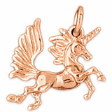 Rose Gold 14k