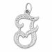 Initial F Classic Charm Pendant 14k Gold White Gold 14k