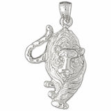 White Gold 14k