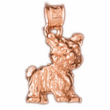 Rose Gold 14k