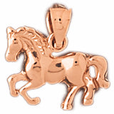Rose Gold 14k