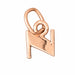 Initial N Charm Pendant 14k Gold Rose Gold 14k