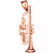 3D Trumpet Charm Pendant 14k Gold (3.7 Grams) Rose Gold 14k