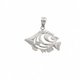 White Gold 14k