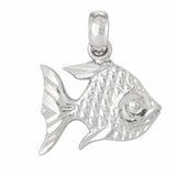 White Gold 14k