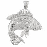 White Gold 14k
