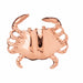Crab Slide Charm Pendant 14k Gold Rose Gold 14k