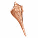 Seashell Charm Pendant 14k Gold (7.6 Grams) Rose Gold 14k