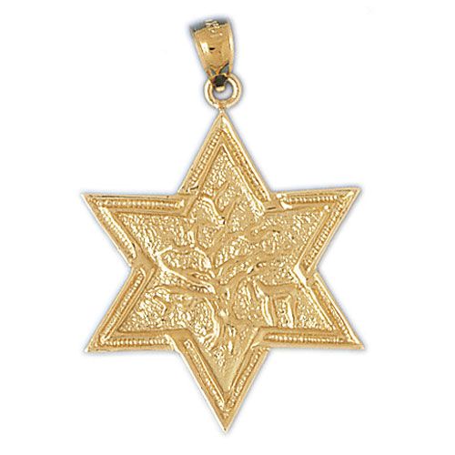 Star of David with Chai Charm Pendant 14k Gold