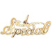 Special Charm Pendant 14k Gold