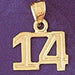 Number 14 Charm Pendant 14k Gold