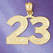 Number 23 Charm Pendant 14k Gold
