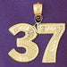 Number 37 Charm Pendant 14k Gold