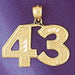 Number 43 Charm Pendant 14k Gold