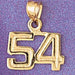 Number 54 Charm Pendant 14k Gold
