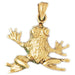 Frog Charm Pendant 14k Gold