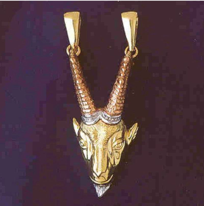 14K GOLD ZODIAC CHARM - CAPRICORN